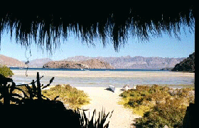 Tropical Baja.