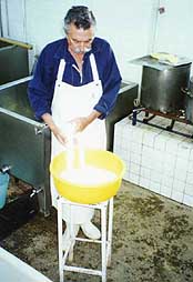 Making Oaxaca style cheese by hand