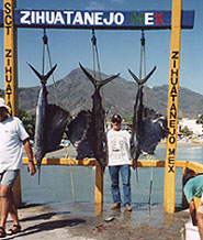 The fishing pier in Zihuatanejo