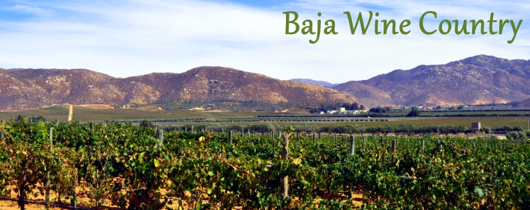 Baja Wine tourism guide