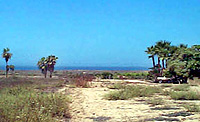 Beachfront land in Todos Santos