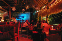Exotic restaurants and bars in Playa del Carmen