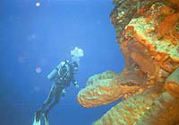 Scuba diving in Cozumel